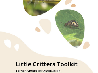 Little Critters Toolkit Report Cover