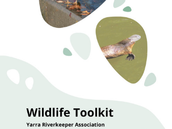 Wildlife Toolkit Report Cover