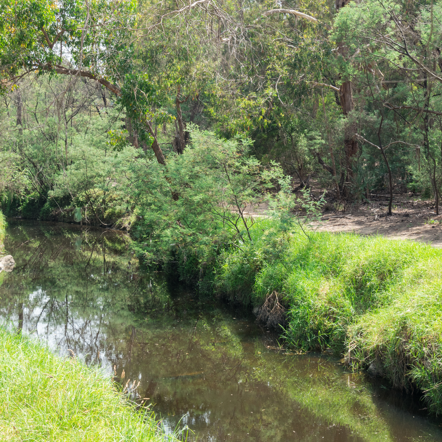 Gardiners Creek