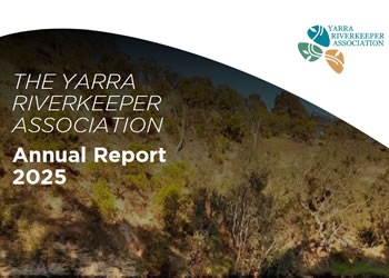 annual-report-25-thumb